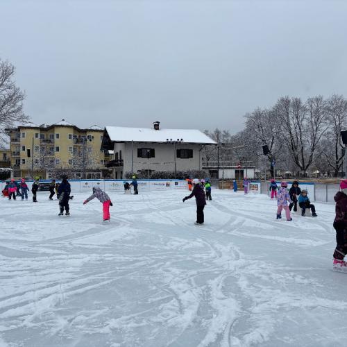 Eislaufen 1